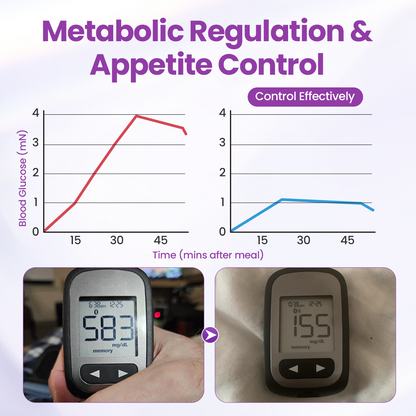 Skavix® Nano Micro-Delivery Slim Patch — Moringa·Berberine x NAD+ 10-in-1
